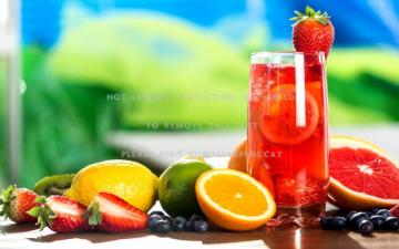 S HDwallpaper Cat Wallpaper Fresh Fruit Dri