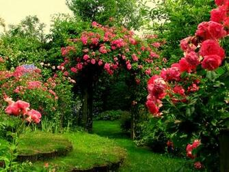 Garden Desktop Background Image Rose HD Cool Wallpaper
