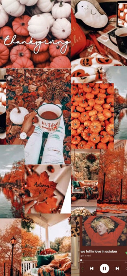 Harvest Harmony Collages Of Autumn S Beauty Thanksgiving Collage