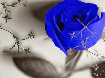 Blue Rose Wallpaper Background Beautiful Desktop