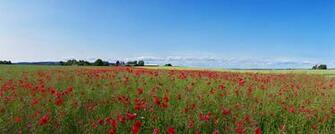 High Resolution Panoramic Dopepicz