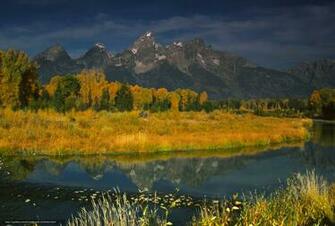 Wallpaper L Image Du Grand Moose Wyoming Usa Desktop
