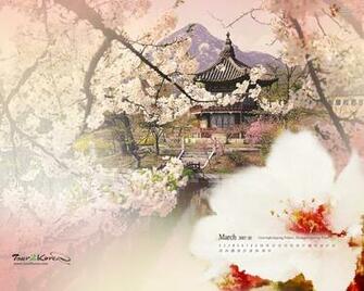 South Korea Tourist Attractions No Wallpaper