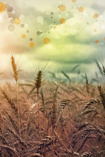 Rainbow Country iPhone 4s Wallpaper iPad
