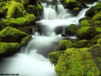 Watter Full