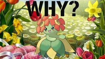 Pokemon Bellossom Wallpaper And Desktop Background HD Picture