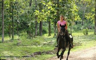 Country Western Wallpaper