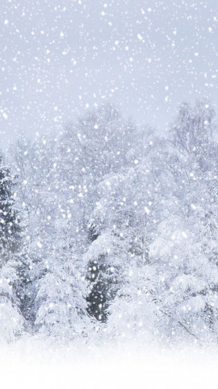 Snow iPhone Wallpaper