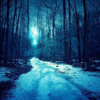 Winter Trees Roads iPad Air Wallpaper iPhone