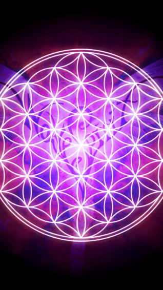 Flower Of Life Wallpaper On