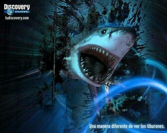 Discovery Channel Wallpaper