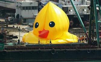 Rubber Duck Wallpaper In Hong Kong