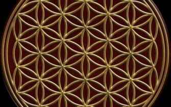 Flower Of Life High Quality And Resolution Wallpaper On