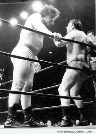 Andre The Giant Looking At Opponent Wwe Superstars