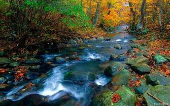 Wallpaper Nature Natural Scenery