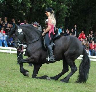 Pirate Princess On Friesian By Ponystock