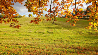 Ultra HD 8k Resolution Nature Valley Wallpaper