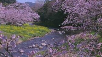 Spring River Live Wallpaper Android Apps On Google Play