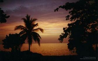 Wallpaper Sunset In Jamaica Tropical Connections