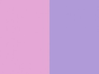 Light Orchid Pastel