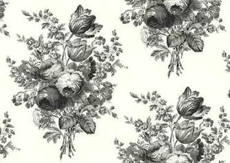 Toile Wallpaper Royalty Stock Photo