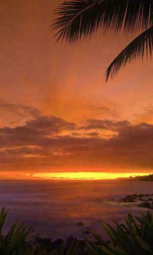 Beautiful Sunrise Wallpaper Android Apps On Google Play