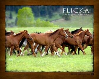 HD Wallpaper Flicka