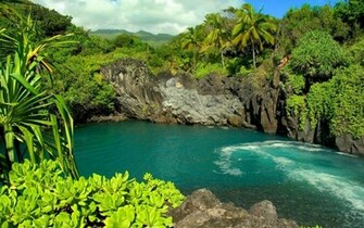 Cool Nature Background HD Wallpaper