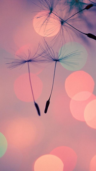 Examples Of iPhone Wallpaper Art And Design
