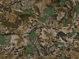 Camouflage Background