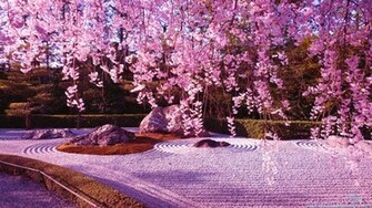 Cute Cherry Blossom Wallpaper