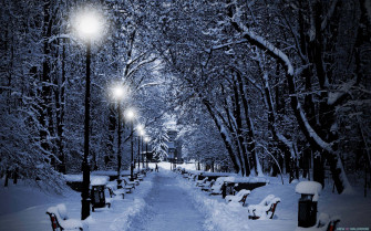 Winter Night Desktop Wallpaper