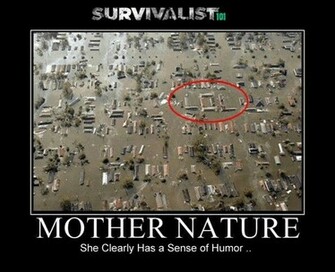 Funny Meme HD Wallpaper