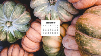September Wallpaper Bies For Desktop Phones