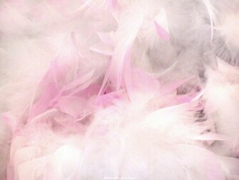 Vector About Pretty Pink Background Item Magz