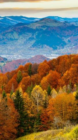 Fall Mountain Fun Red Orange Tree Nature iPhone 5s Wallpaper
