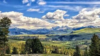 Cool Yellowstone Picture For National Park