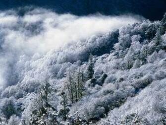 Snowscape Chinois Wallpaper