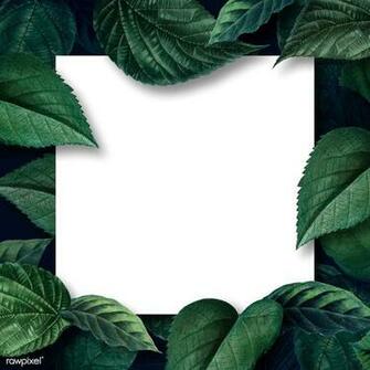 Premium Illustration Of White Square Poster On A Leafy