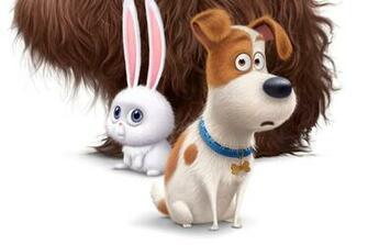 The Secret Life Of Pets Movie Wallpaper For Android iPhone And