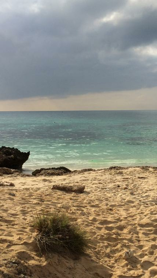 Wallpaper iPhone 5s Moucha Djibouti By Kavel Wb