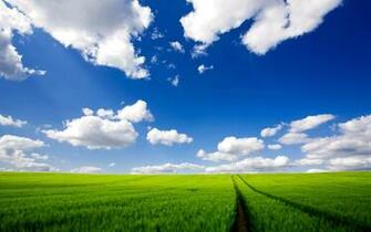 Spring Wallpaper