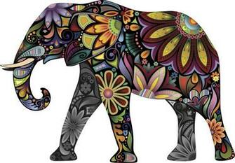 Beautiful Elephants Photo Bestepics