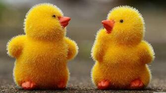 Easter Baby Chicks 4k HD Desktop Wallpaper For Ultra Tv