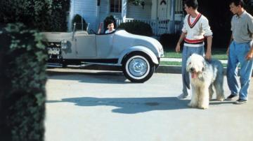 The Shaggy Dog Movie Streaming Online Watch