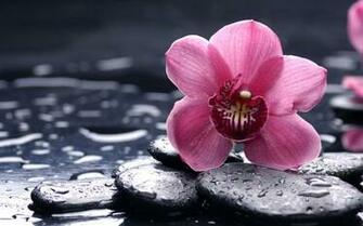 8k Ultra HD Wallpaper My