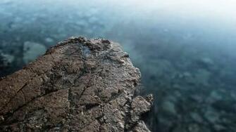 Stone Depth Of Field Wallpaper Hq