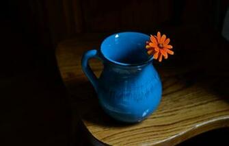 Wallpaper Chair Pitcher Flower Miscellanea