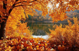Autumn Wallpaper