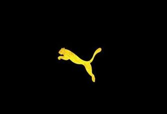 Puma HD Wallpaper